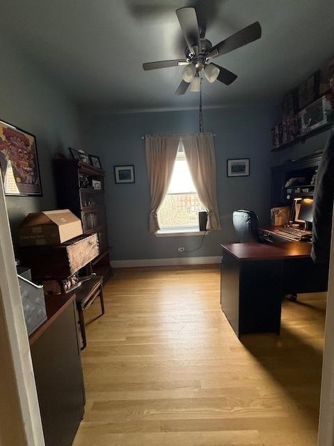 office space with ceiling fan, light wood finished floors, and baseboards