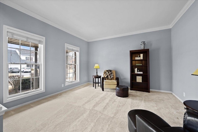 living area featuring crown molding, baseboards, and carpet flooring