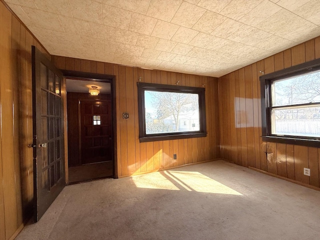 empty room with carpet flooring and wooden walls