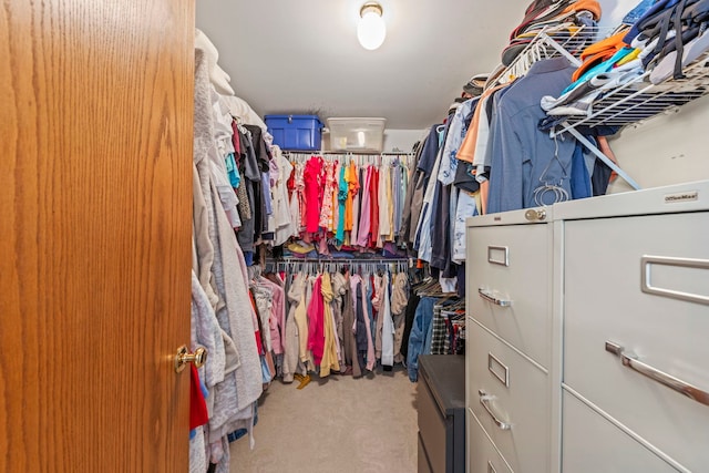 spacious closet featuring carpet floors