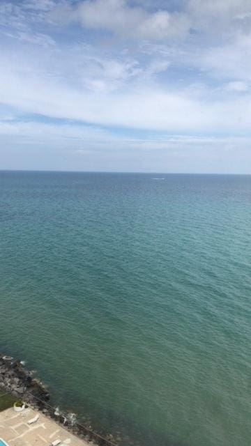 6301 N Sheridan Rd Unit 14N, Chicago, IL 60660 - water view