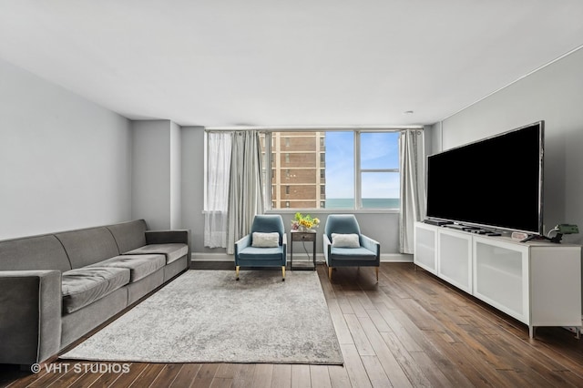 living area with wood finished floors