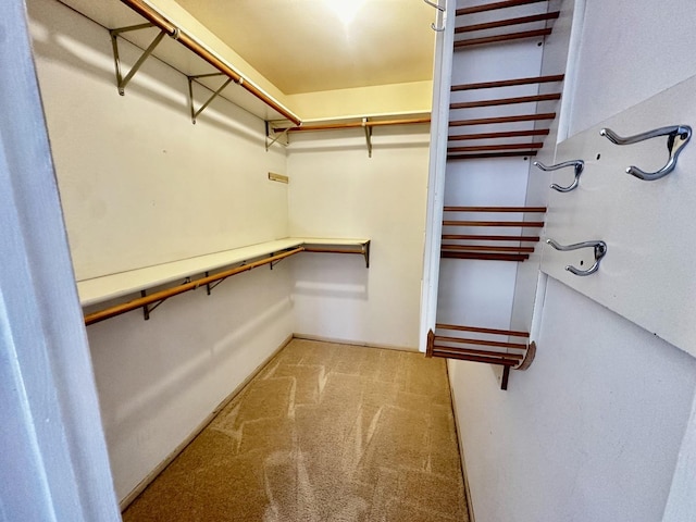 spacious closet with light carpet