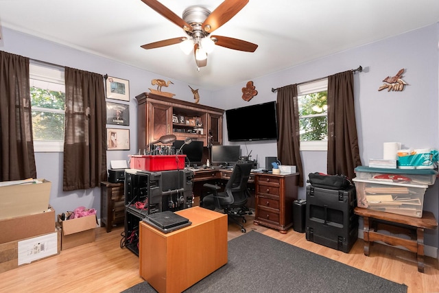 office area with light wood-style flooring and a ceiling fan