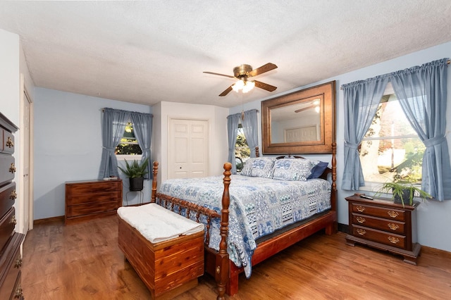 bedroom featuring a textured ceiling, multiple windows, and wood finished floors