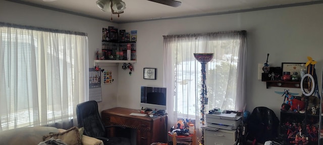 office featuring crown molding, a wealth of natural light, and a ceiling fan