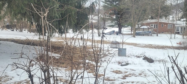 view of yard covered in snow