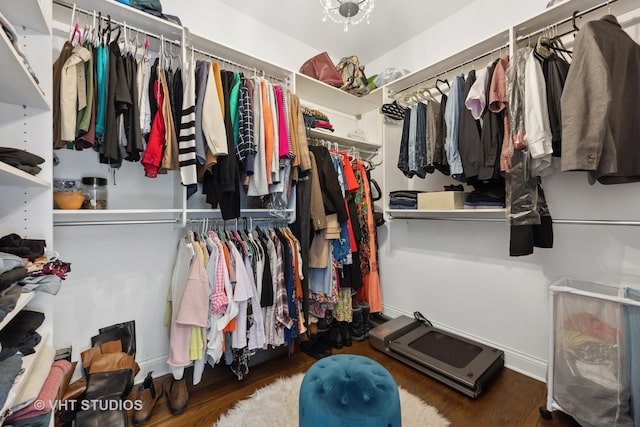 walk in closet with dark wood-style flooring