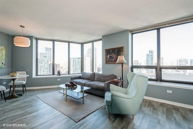 living area with baseboards, a city view, and wood finished floors