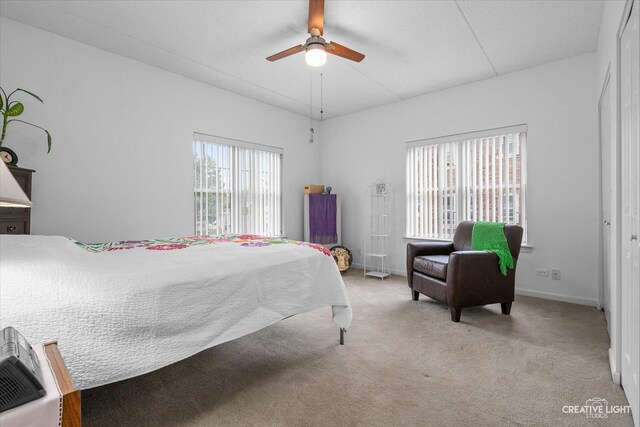 420 W Burlington Ave Unit 303, La Grange, IL 60525 - bedroom with carpet floors, baseboards, and ceiling fan
