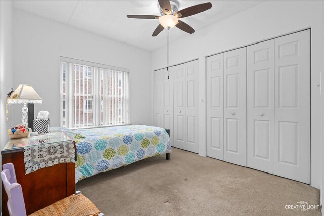 420 W Burlington Ave Unit 303, La Grange, IL 60525 - carpeted bedroom with two closets and ceiling fan