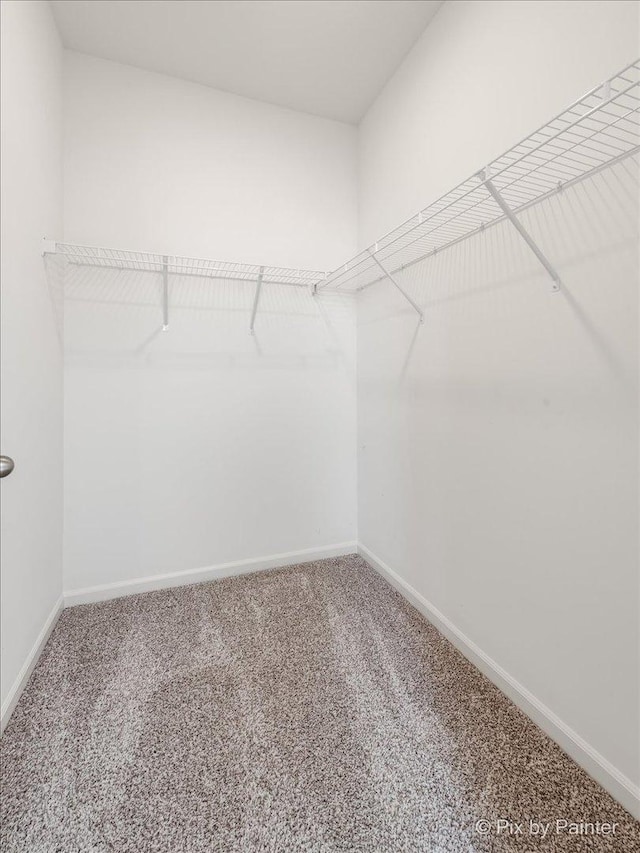 spacious closet featuring carpet flooring