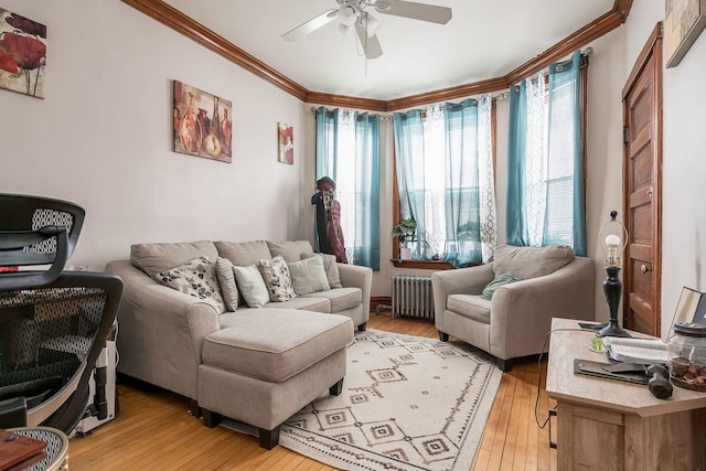 living room featuring ceiling fan, radiator heating unit, light wood-style flooring, and crown molding