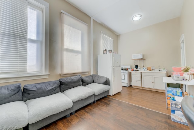 living area featuring dark wood-style flooring