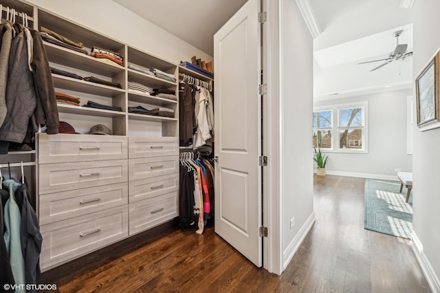 spacious closet with a ceiling fan and dark wood-style flooring