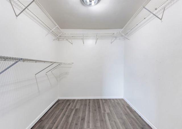walk in closet with wood finished floors