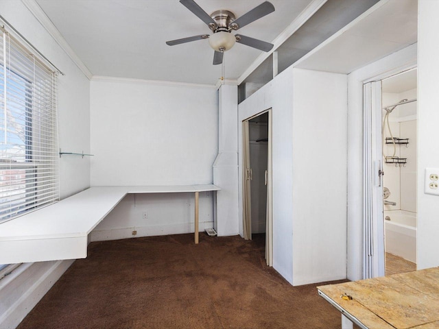 unfurnished office featuring ornamental molding, dark carpet, built in desk, and a ceiling fan