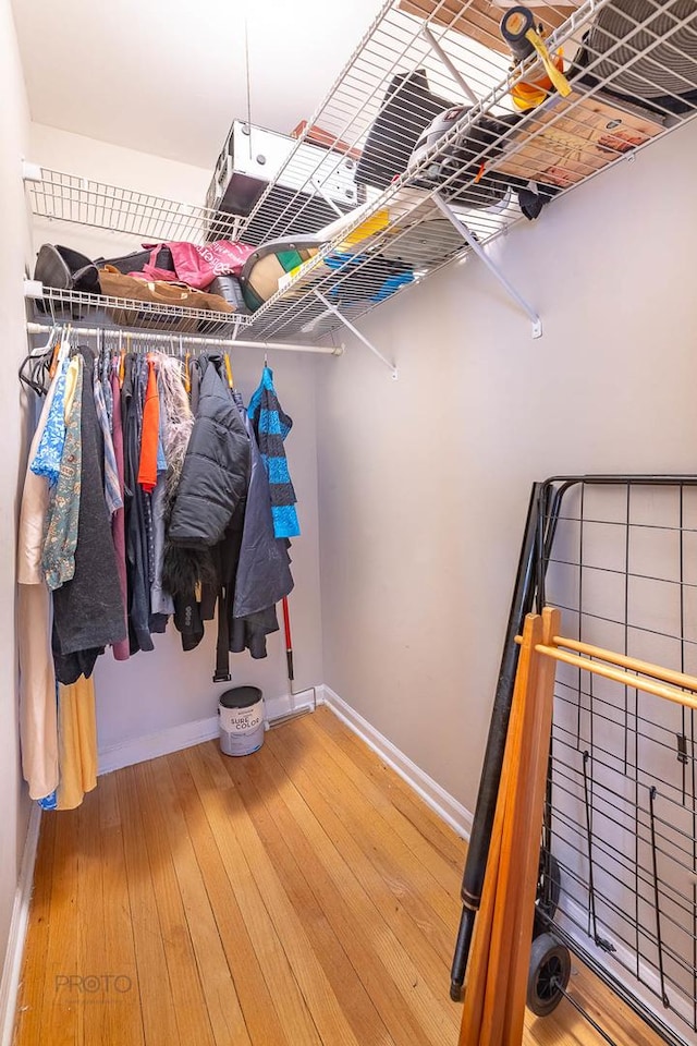 walk in closet featuring wood finished floors