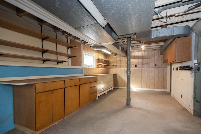 basement with wooden walls