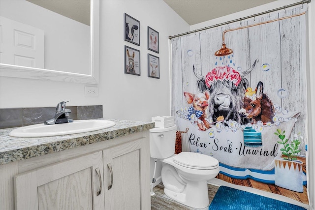 full bath featuring toilet, a shower with shower curtain, and vanity