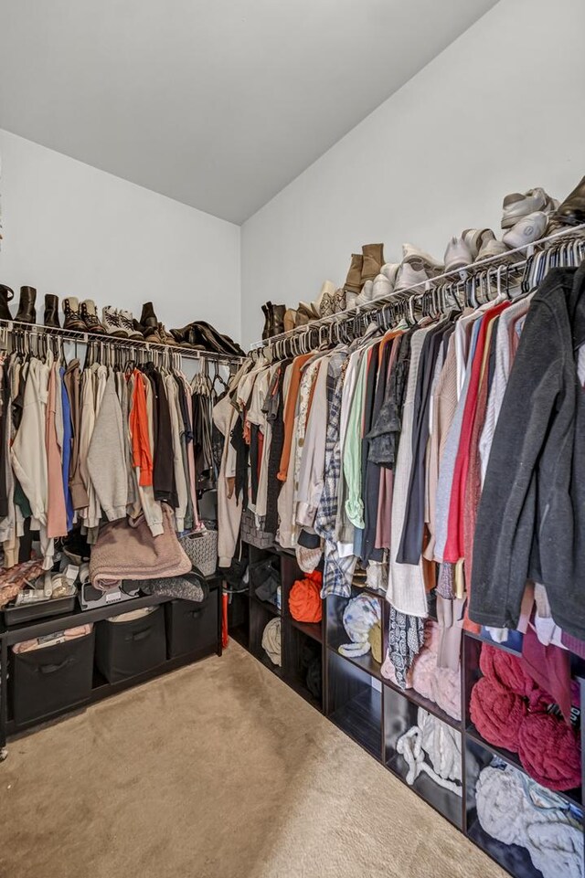 spacious closet featuring carpet