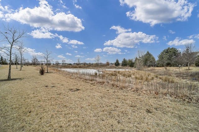 view of local wilderness with a rural view