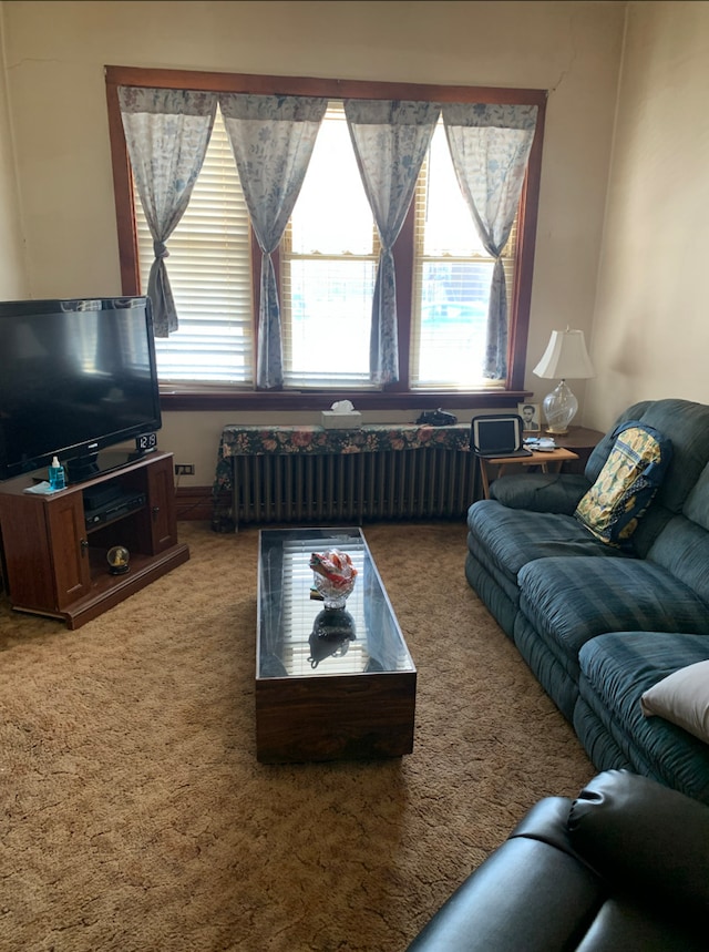 living area featuring light carpet and radiator