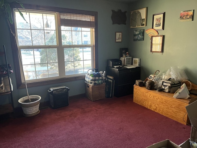 home office with carpet floors