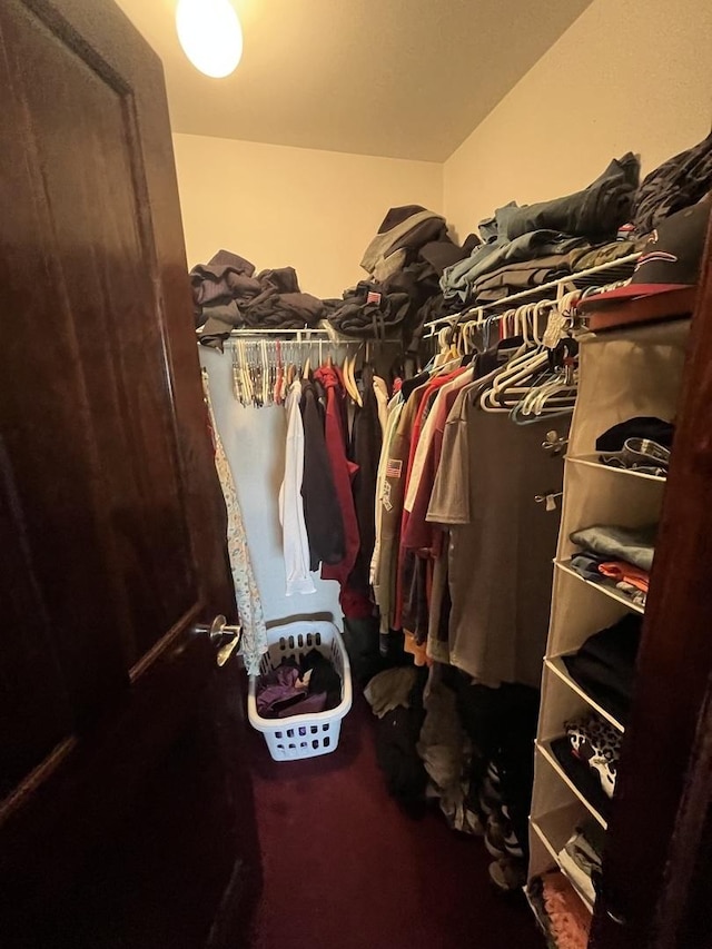 spacious closet featuring carpet flooring