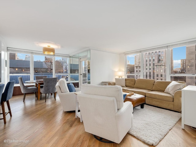 living area with light wood finished floors, a wall of windows, and a city view