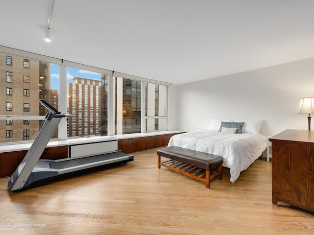 bedroom featuring light wood-style floors, rail lighting, and a city view