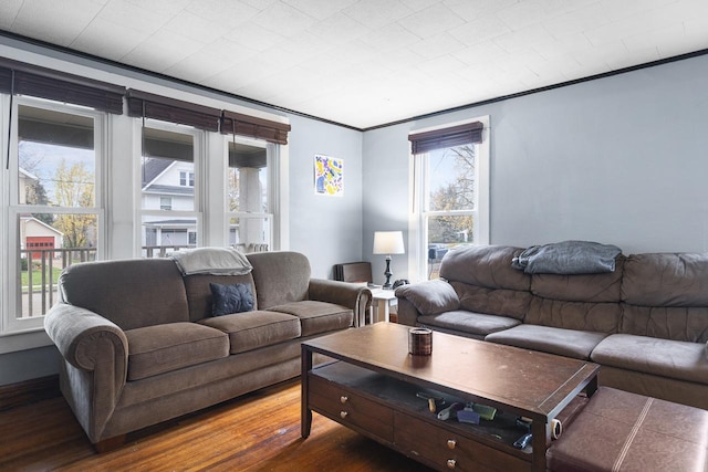 living area with crown molding and wood finished floors