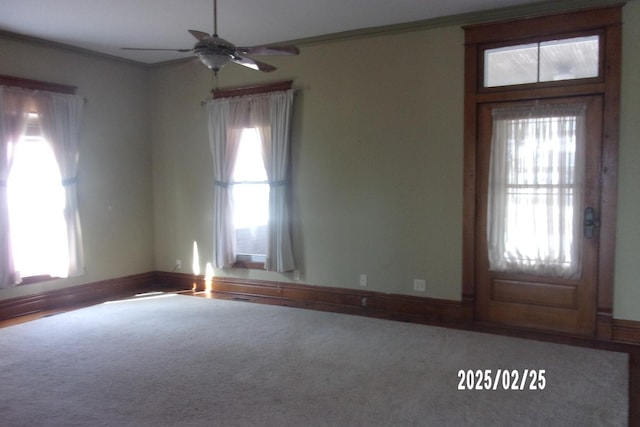 entrance foyer with ornamental molding, ceiling fan, carpet floors, and baseboards