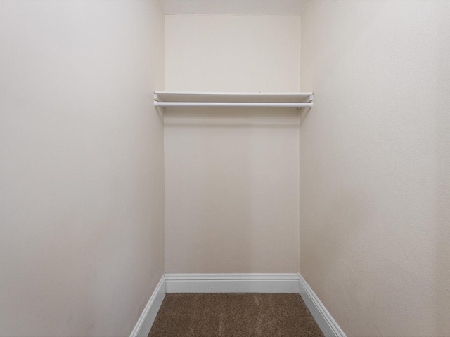 walk in closet featuring carpet flooring