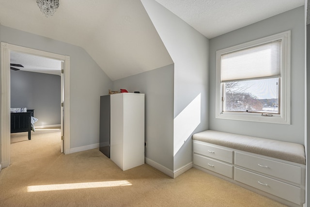 bonus room featuring light carpet, baseboards, vaulted ceiling, and a textured ceiling