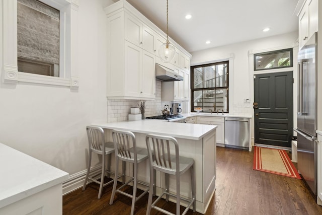 kitchen with white cabinetry, dark wood-style flooring, under cabinet range hood, and stainless steel appliances