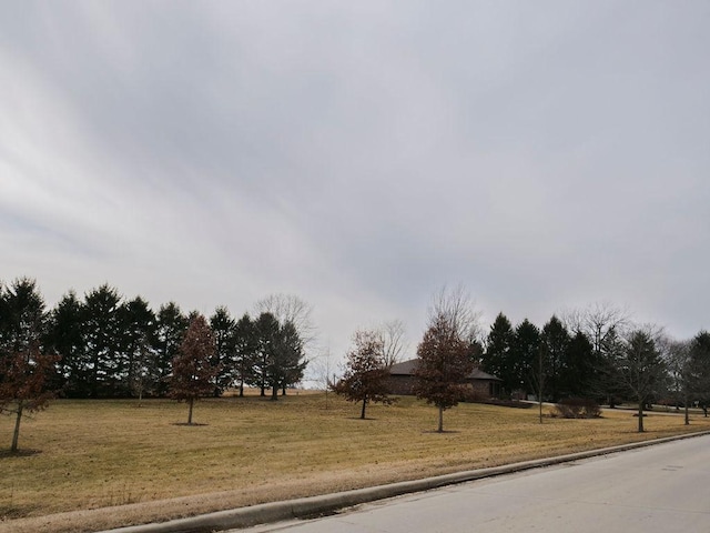 view of road featuring curbs