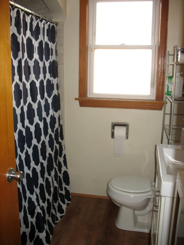 bathroom featuring toilet, wood finished floors, and vanity