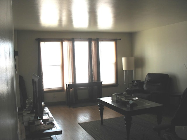 living area featuring wood finished floors