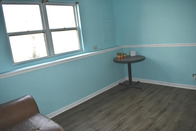 1080 Redondo Dr, Romeoville, IL 60446 - unfurnished room with dark wood-type flooring, healthy amount of natural light, and electric panel