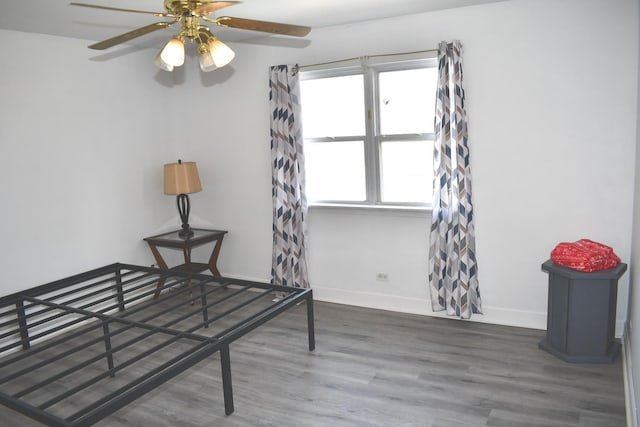 1080 Redondo Dr, Romeoville, IL 60446 - bedroom with wood finished floors and a ceiling fan