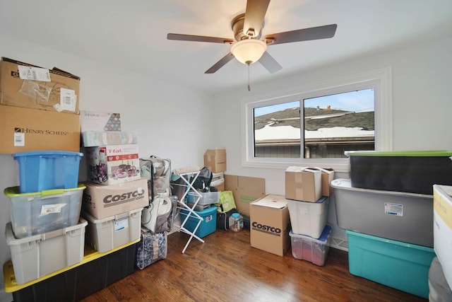 storage with ceiling fan