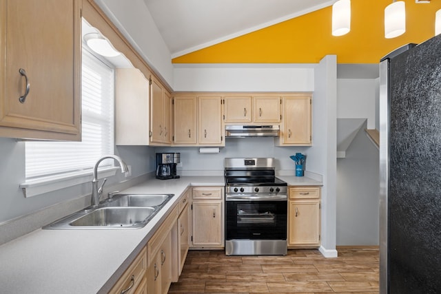 kitchen featuring wood finish floors, under cabinet range hood, lofted ceiling, appliances with stainless steel finishes, and a sink