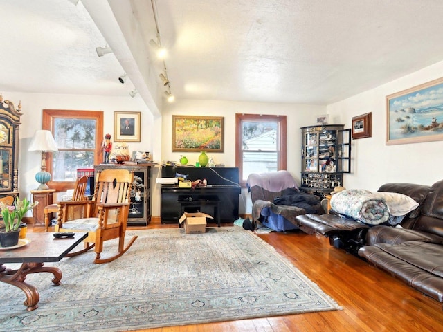 living room featuring a textured ceiling and wood finished floors