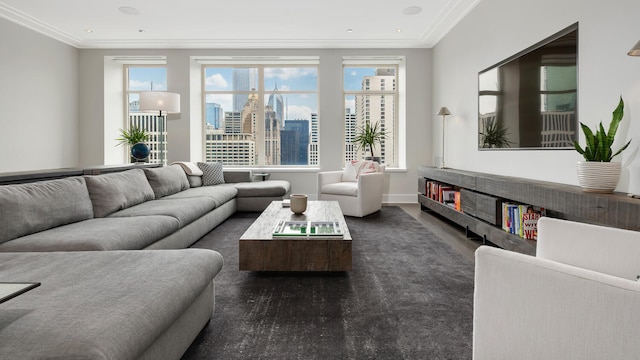 living area with crown molding