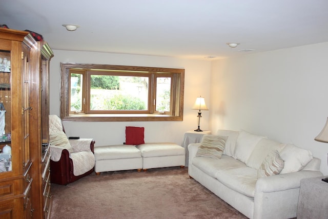 living room with carpet floors