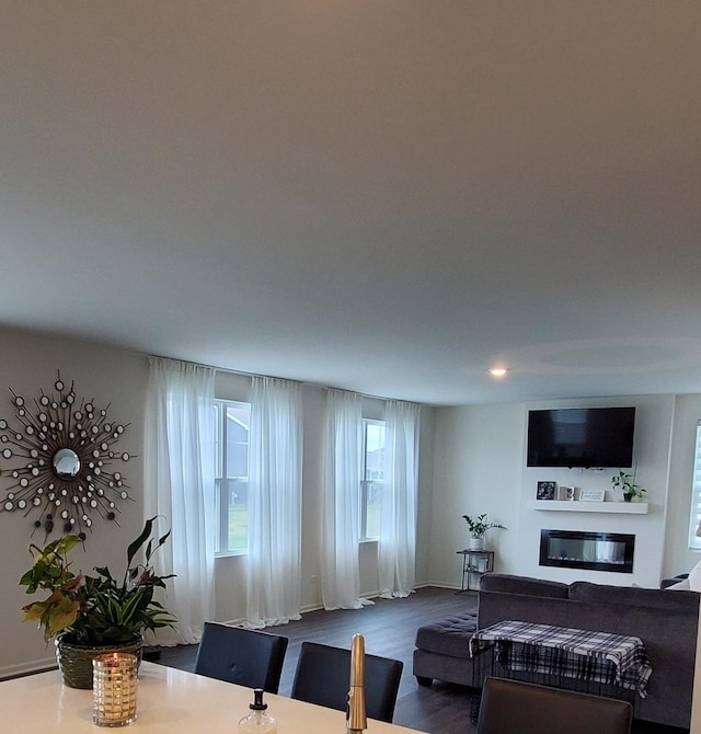 living room with a glass covered fireplace and wood finished floors