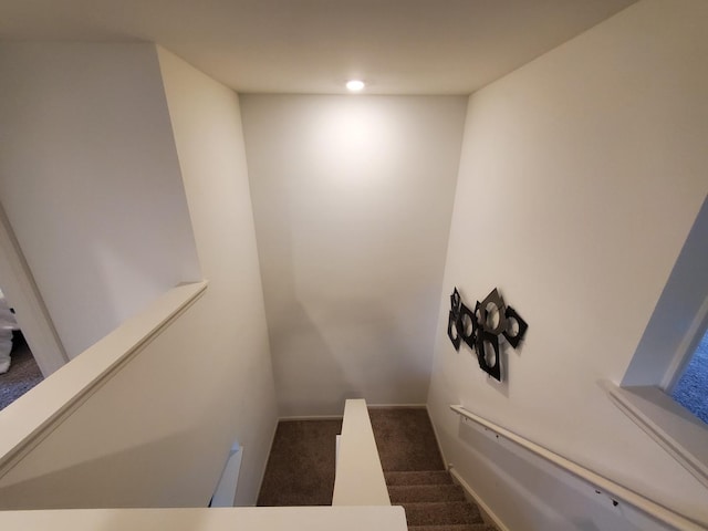 stairway with carpet