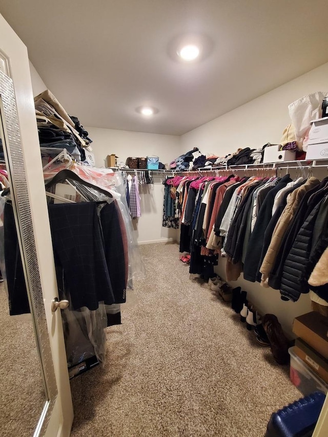 spacious closet with carpet