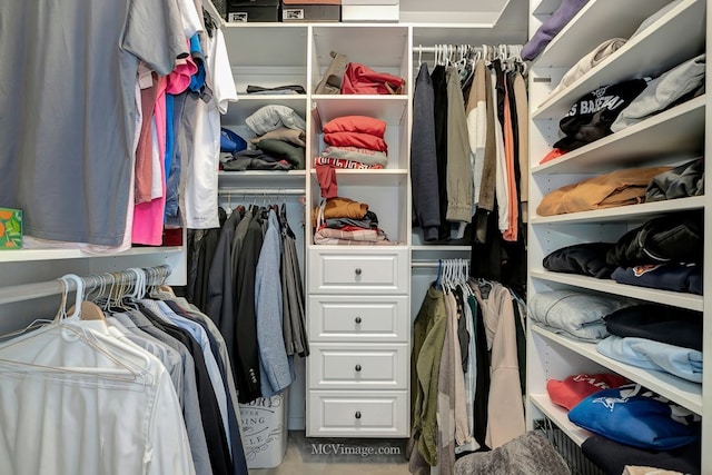 view of spacious closet